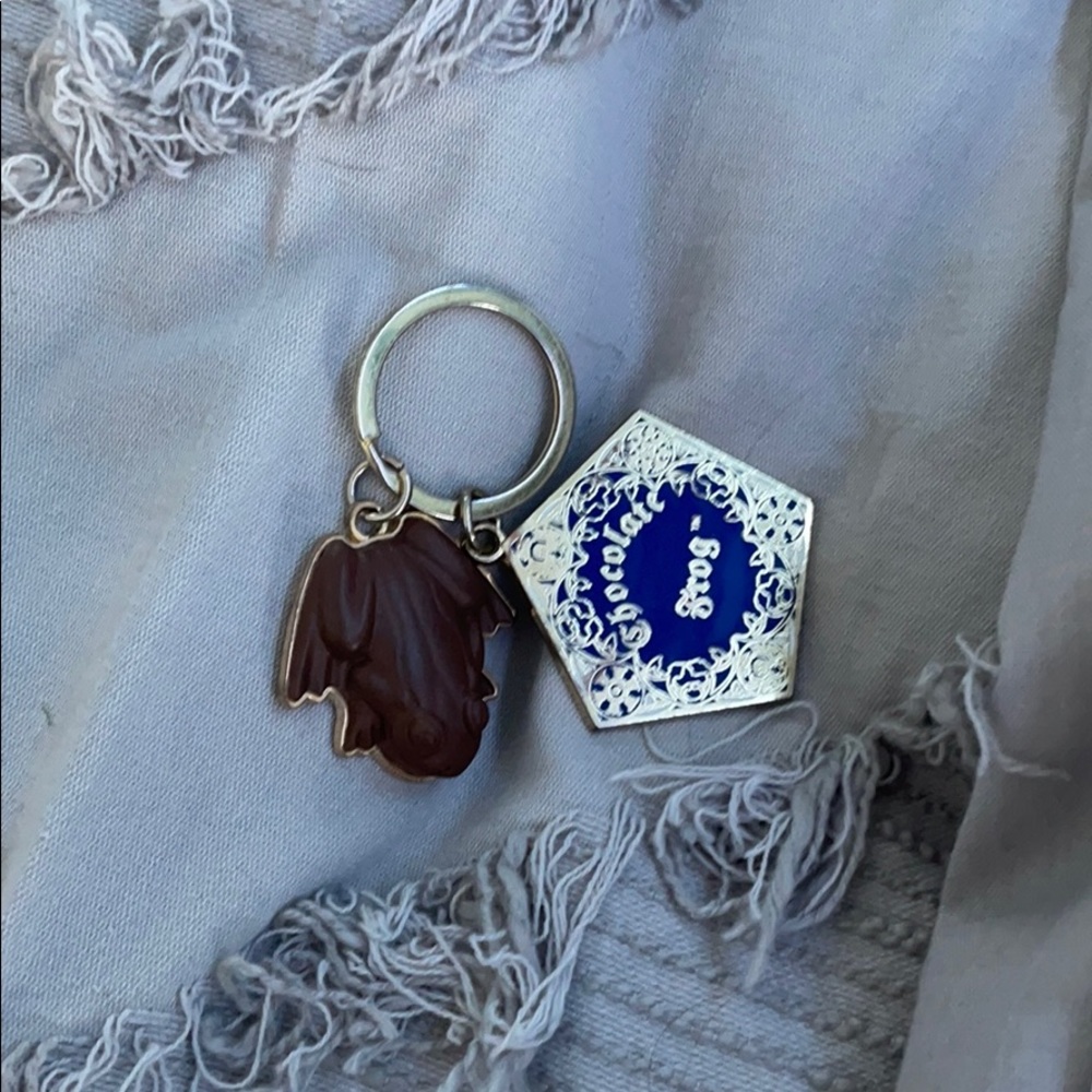 Harry Potter chocolate frog key chain